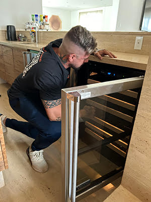 Assistência eletrodomésticos Viking: adega